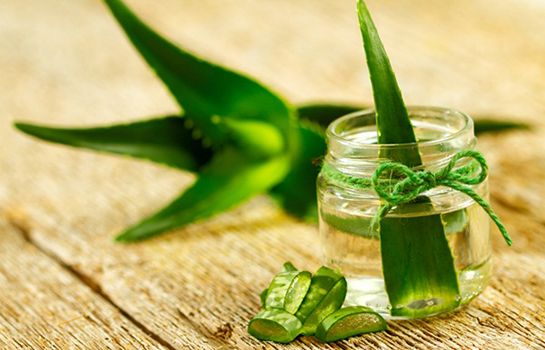 Aloe Vera Sivilce Kremi Kullanımı ve Faydaları Nelerdir?